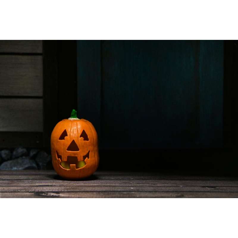 SPOTT-GR Halloween Resurrection - Φιγούρα Δράσης Ultimate Michael Myers Μεγέθους 18cm