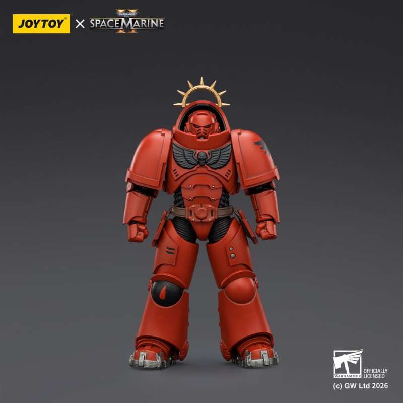 SPOTT-GR Warhammer 40,000 - Φιγούρα Δράσης Blood Angels Heavy Intercessor (Game Edition) Μεγέθους 13cm