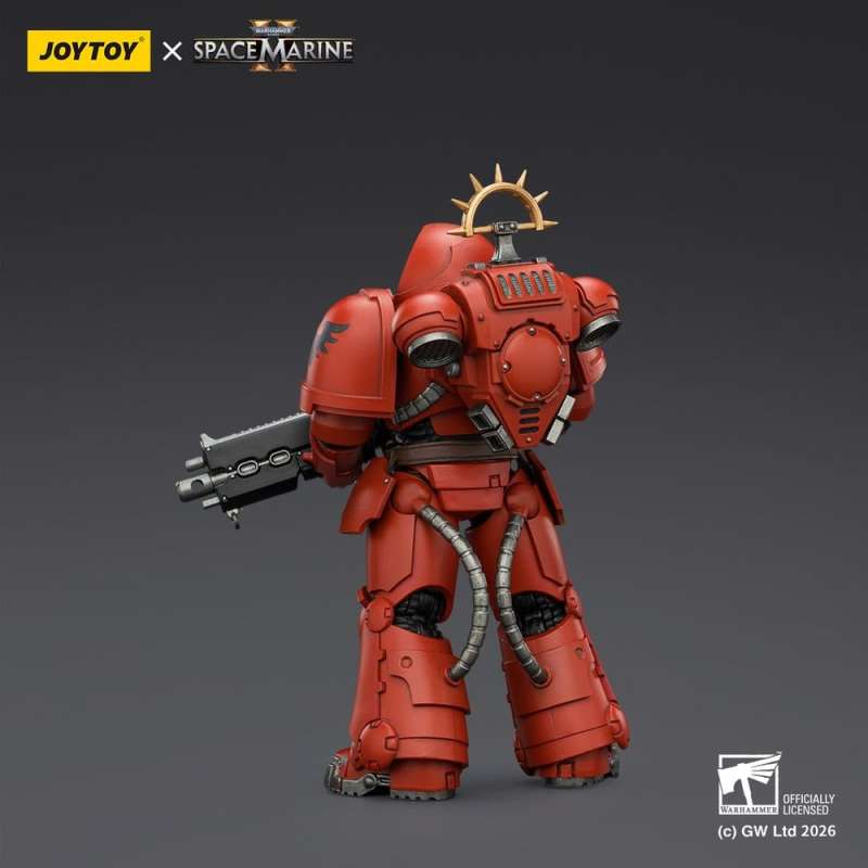 SPOTT-GR Warhammer 40,000 - Φιγούρα Δράσης Blood Angels Heavy Intercessor (Game Edition) Μεγέθους 13cm