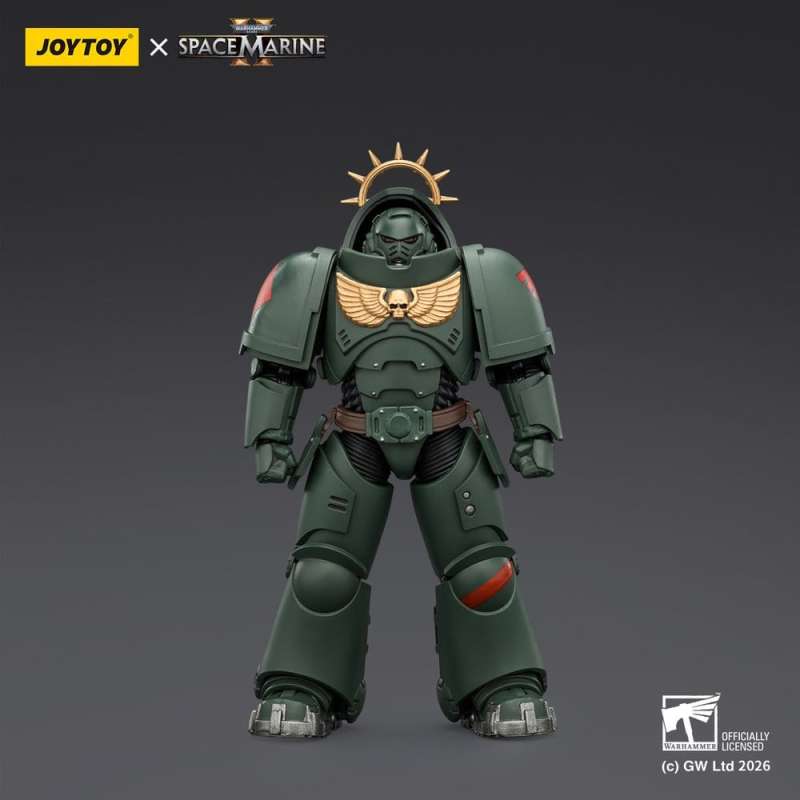 SPOTT-GR Warhammer 40,000 - Φιγούρα Δράσης Dark Angels Heavy Intercessor (Game Edition) Μεγέθους 13cm